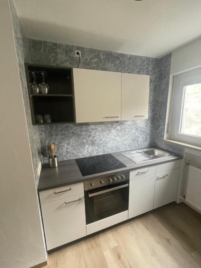 Ferienwohnung Roeck Hornberg Εξωτερικό φωτογραφία